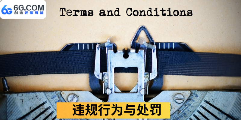 违规行为与处罚